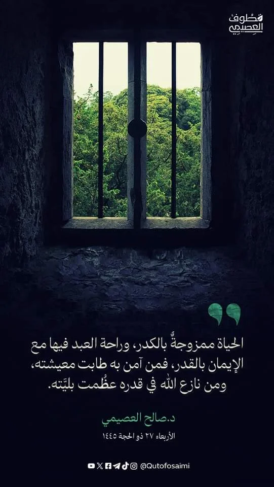 FB_IMG_1720891419440.webp