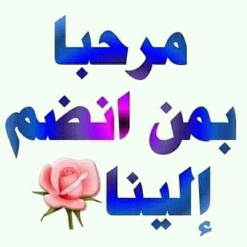 68537c1990a0a4c62cc359f902ff45e0.webp