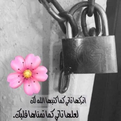 1000004642.webp