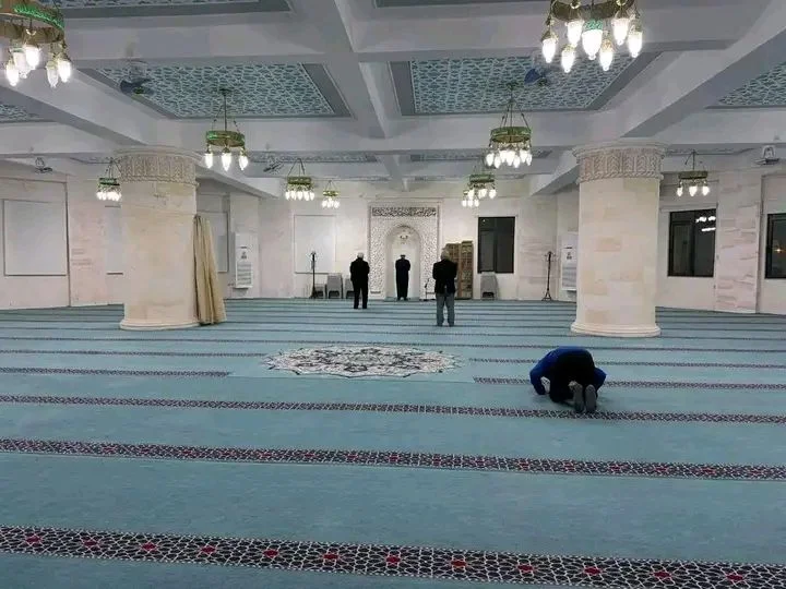 488517136_1382232052803563_4176994816352837613_n.webp 488517136_1382232052803563_4176994816352837613_n.webp