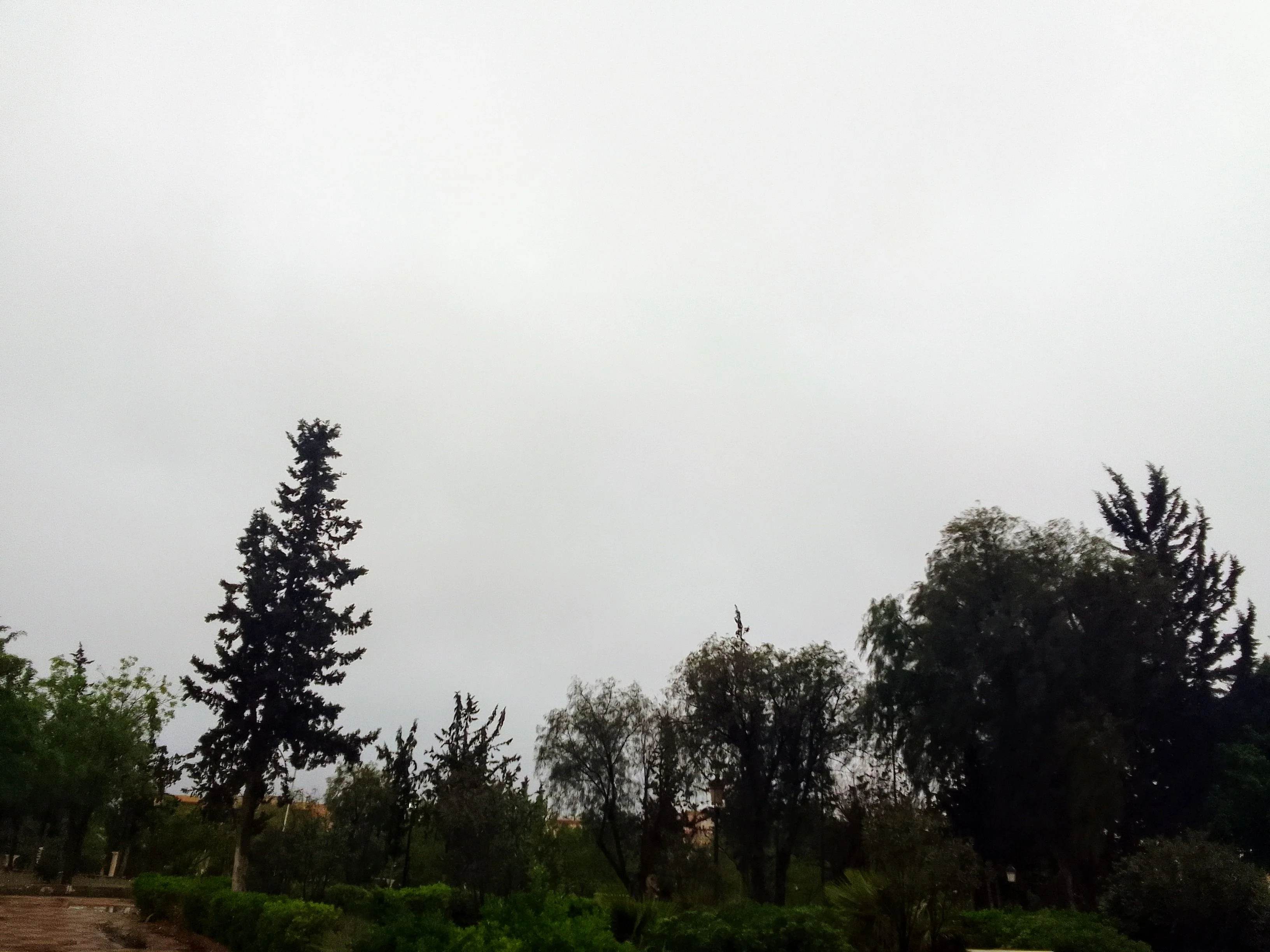 IMG_20250414_091326~2.webp