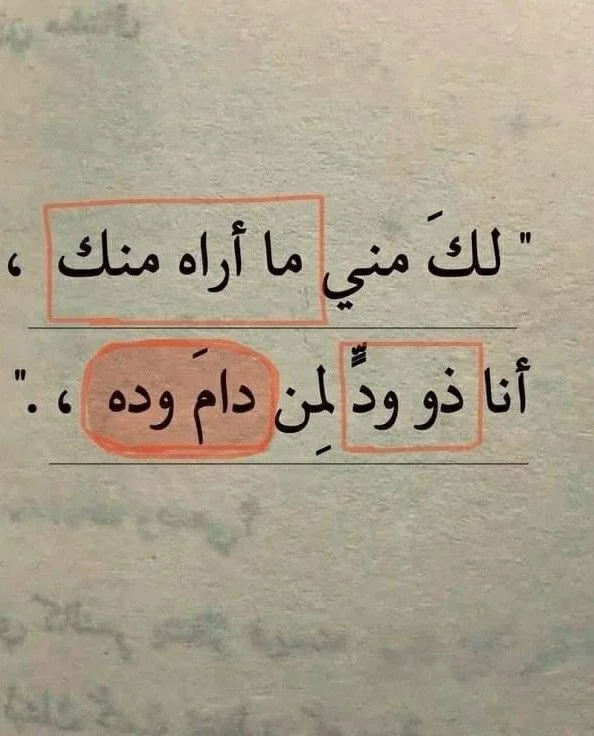 1000013831.webp