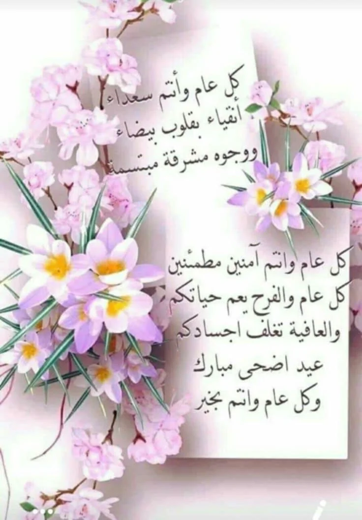 1000016530.webp