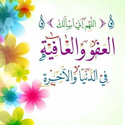 1752007447569.webp