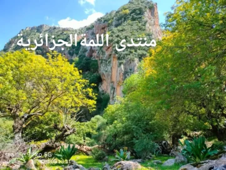 1000004311.webp