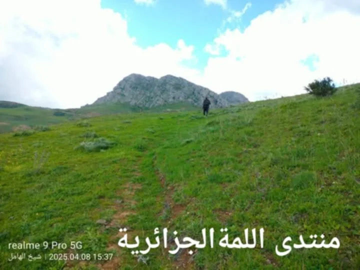 1000004309.webp