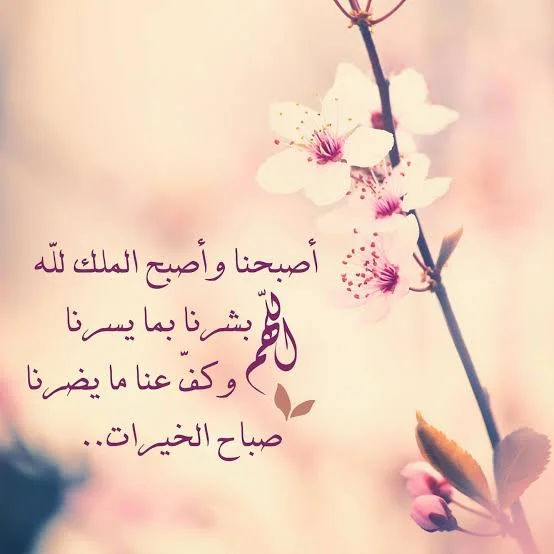 1752738746872.webp