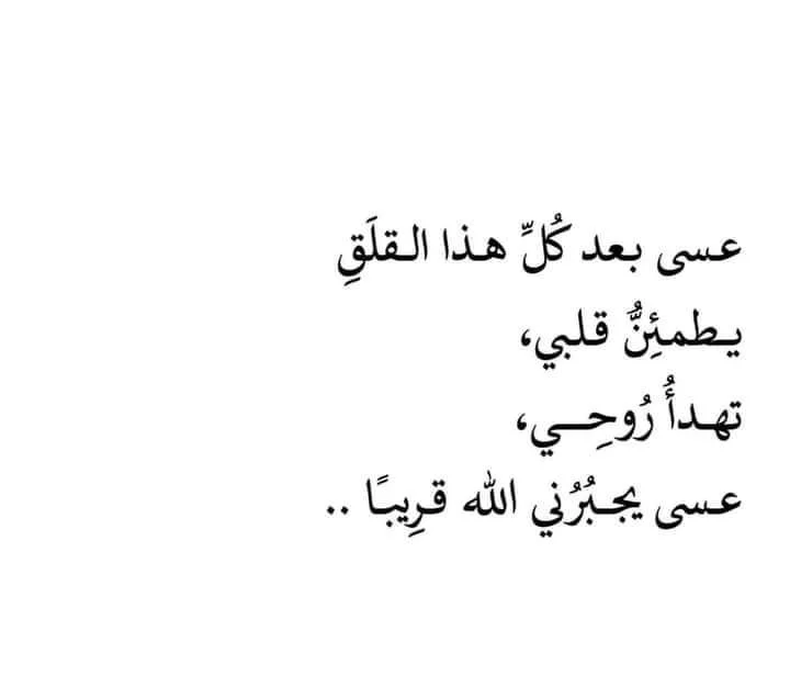 FB_IMG_1732435511472.webp
