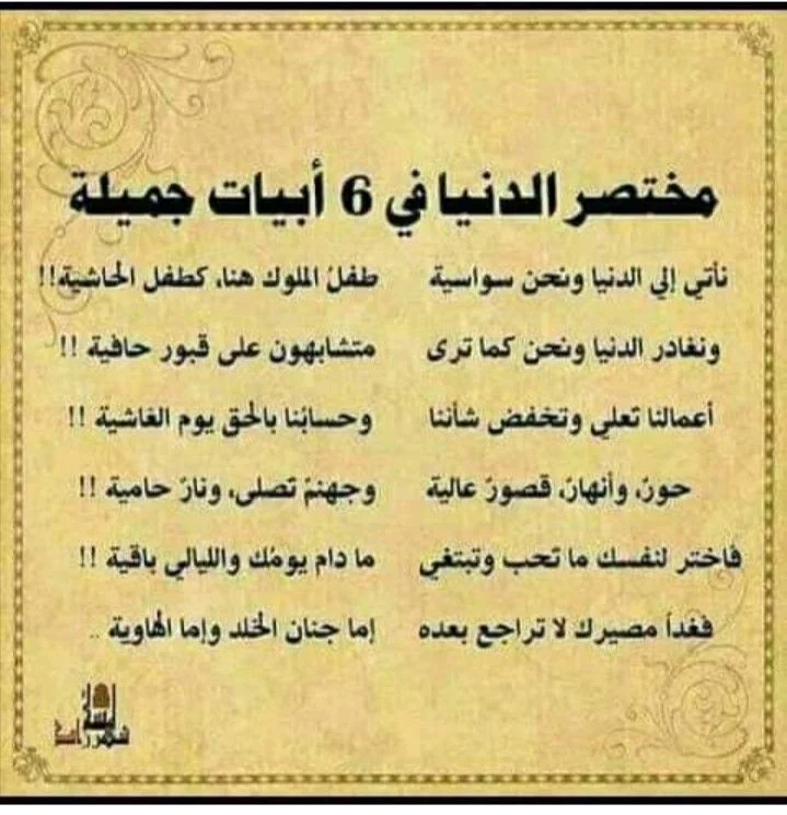 1000006065.webp