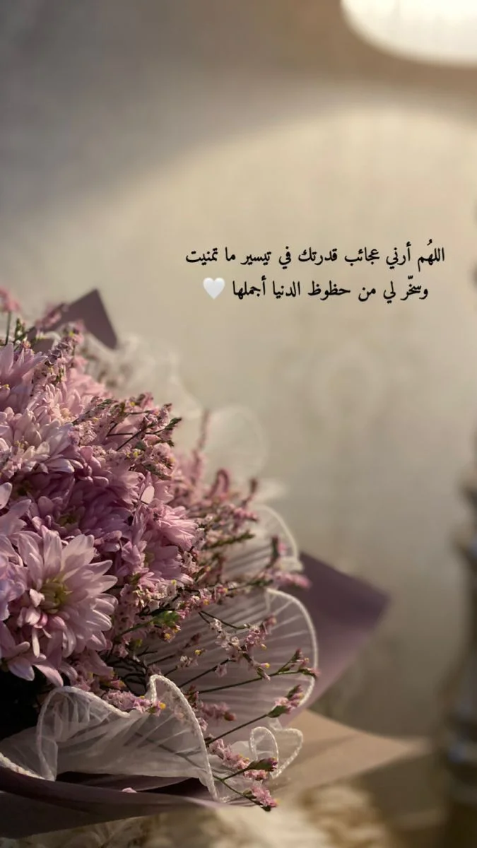 1000023556.webp