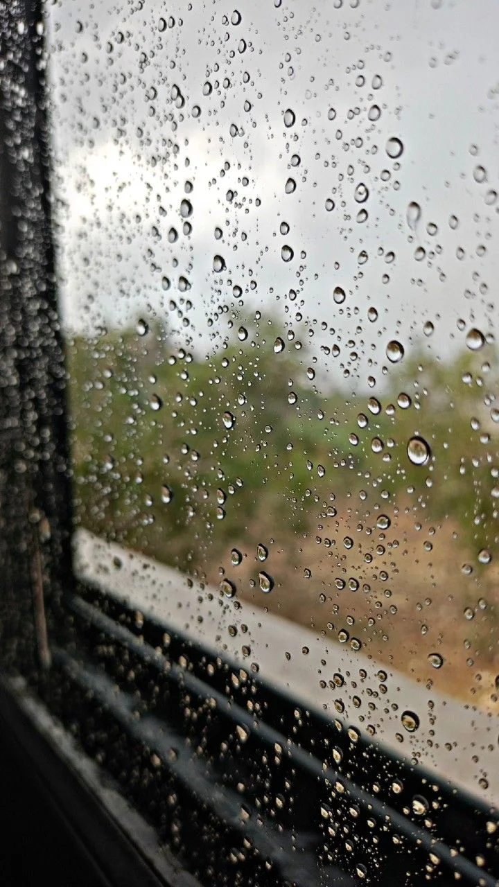 #مطر #شتاء #قطرات #شباك #صورة.webp