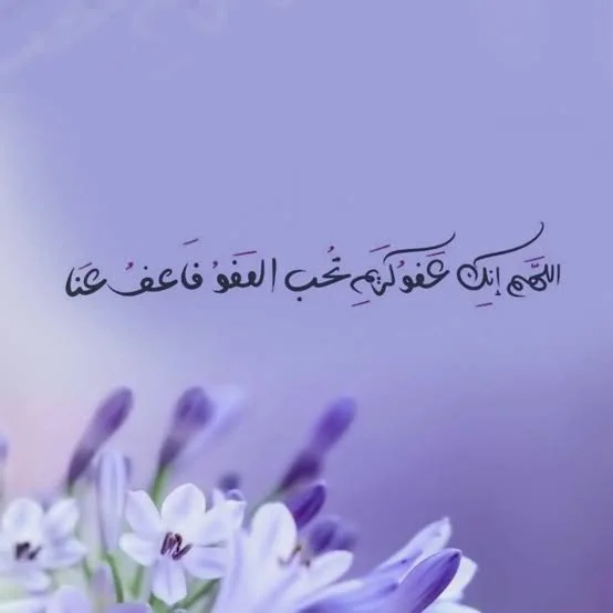 1761077594568.webp