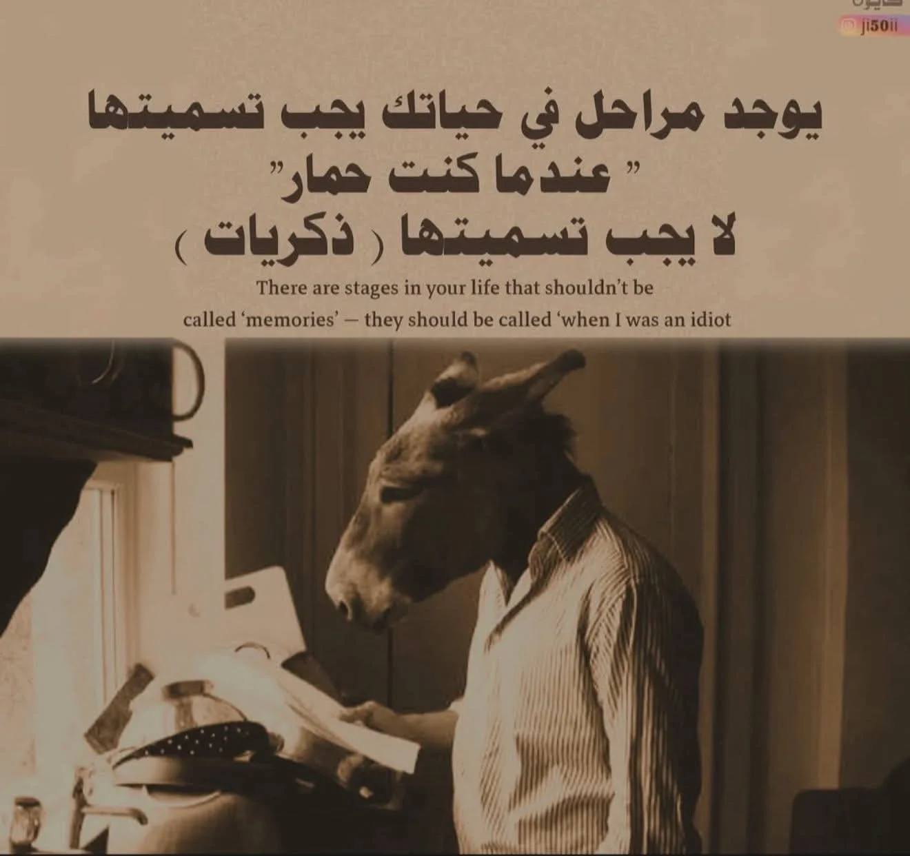 1000042583.webp