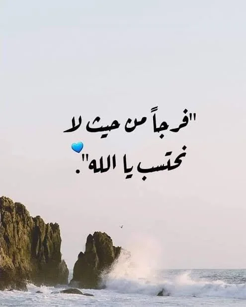 1761214422429.webp