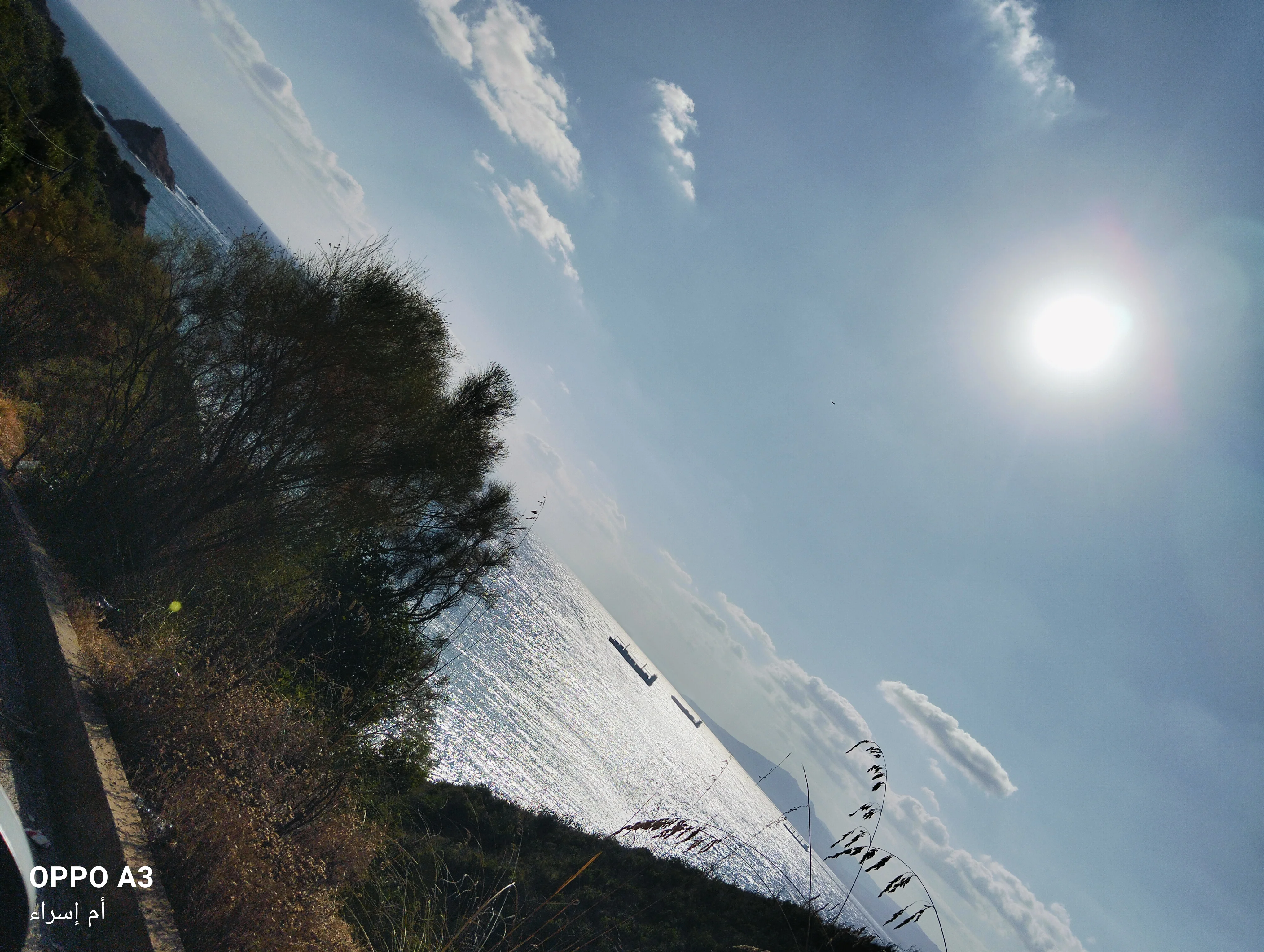 1000005052.webp