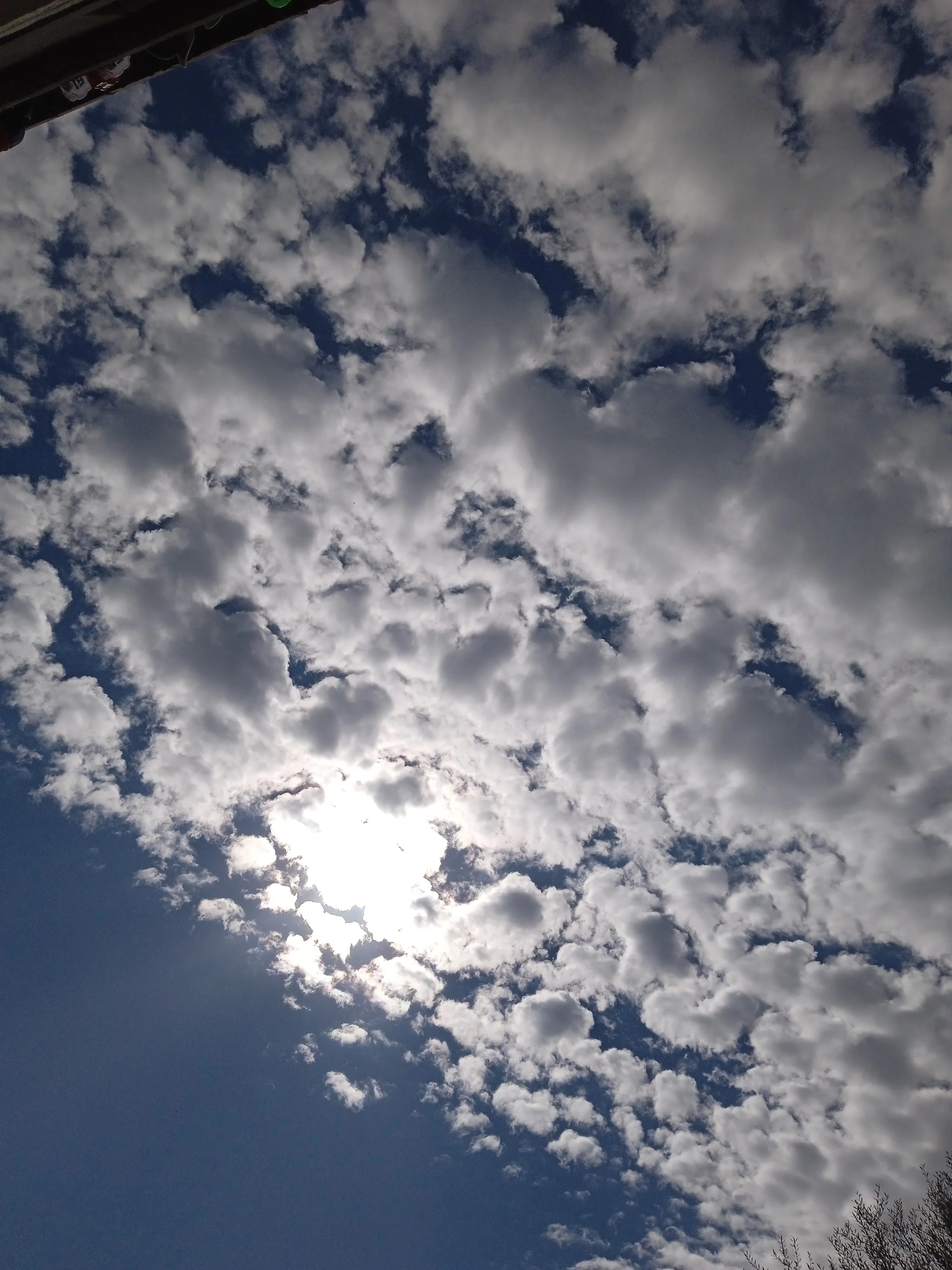 IMG_20251022_115917_1.webp