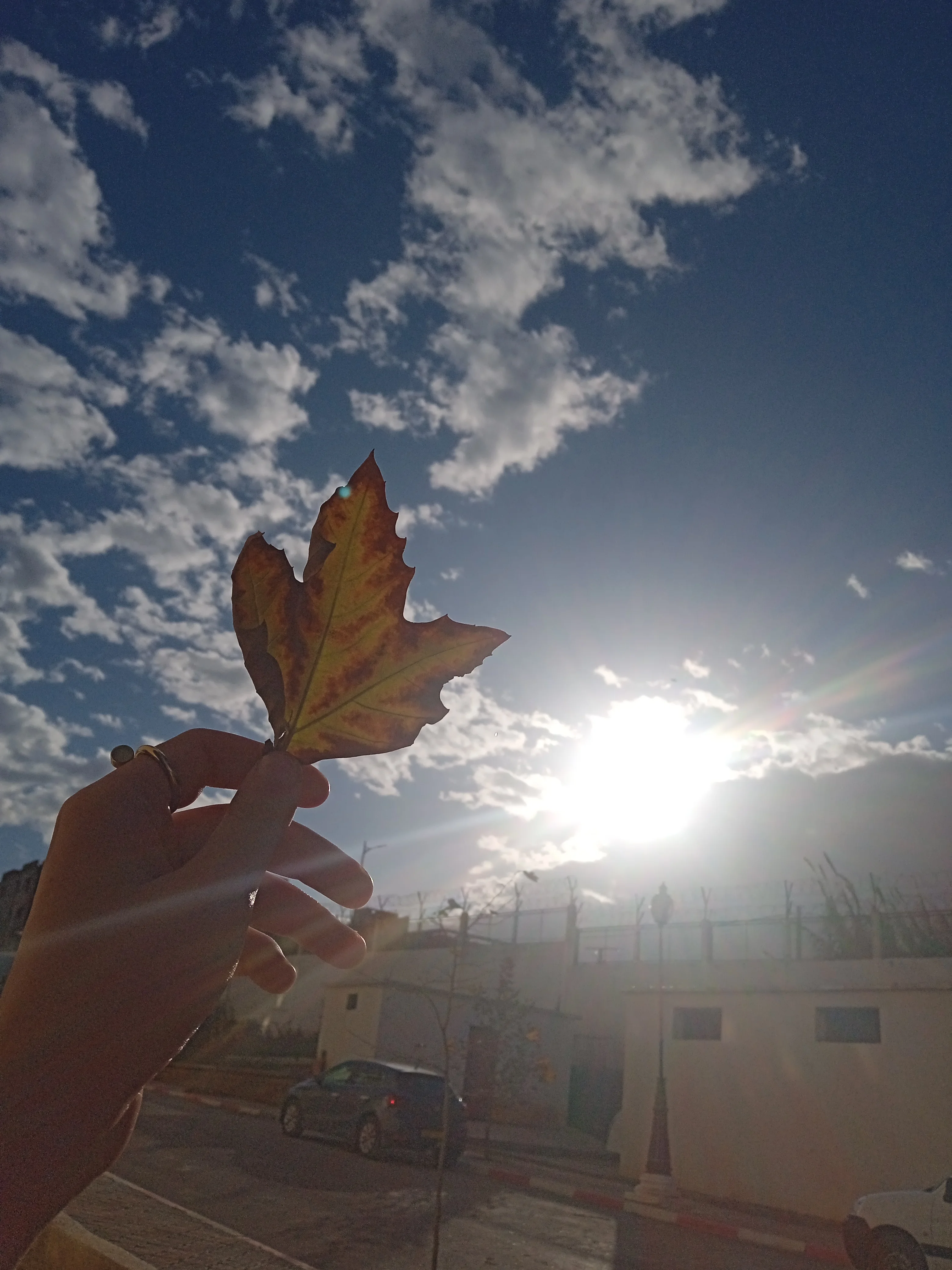 IMG_20221128_153233.webp