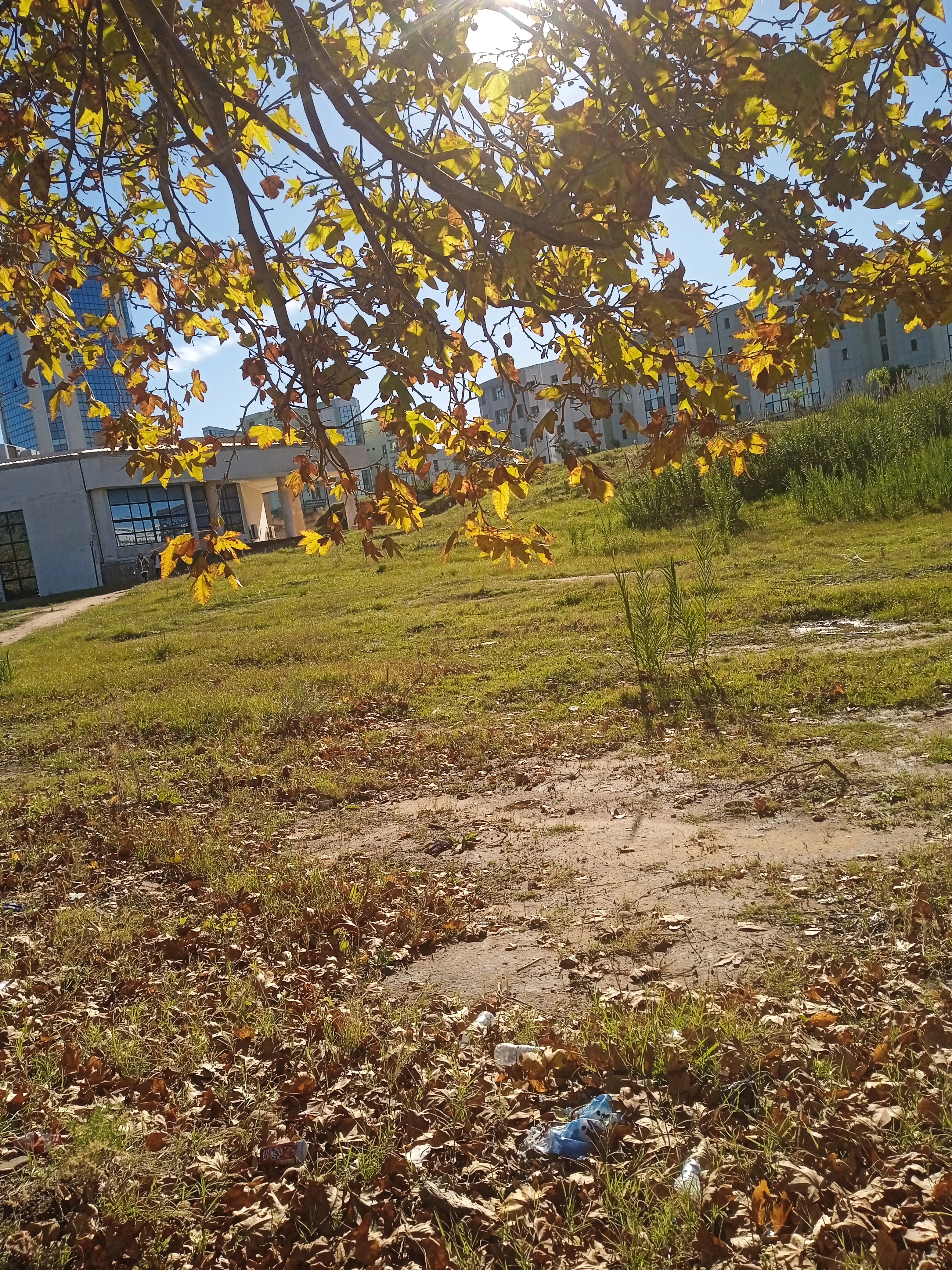 IMG_20221121_101327_1.webp