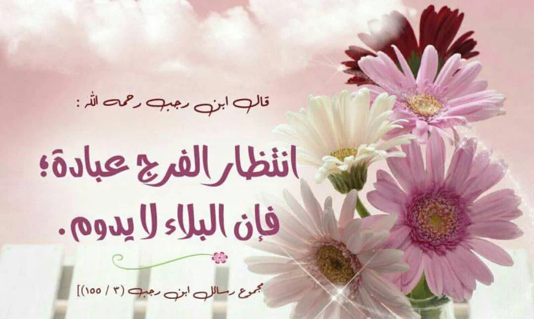 tumblr_pbpydl17tw1smhfo4o1_1280.webp