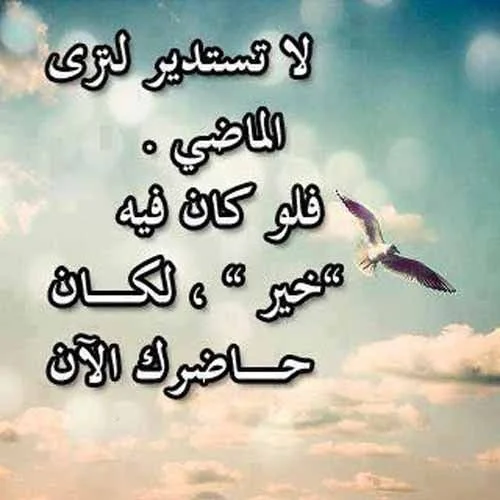 1765829943068.webp