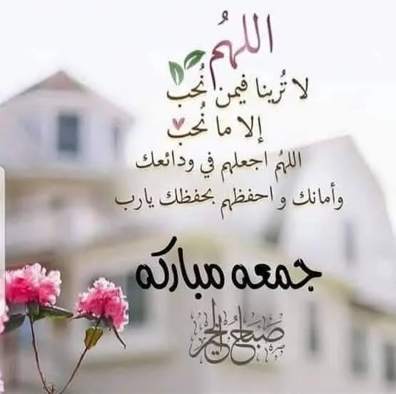 1767946554671.webp
