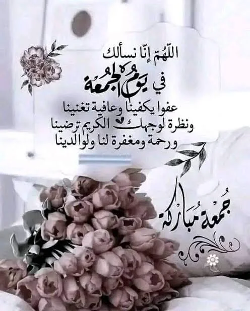 1767946625852.webp