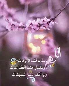 1768226307935.webp