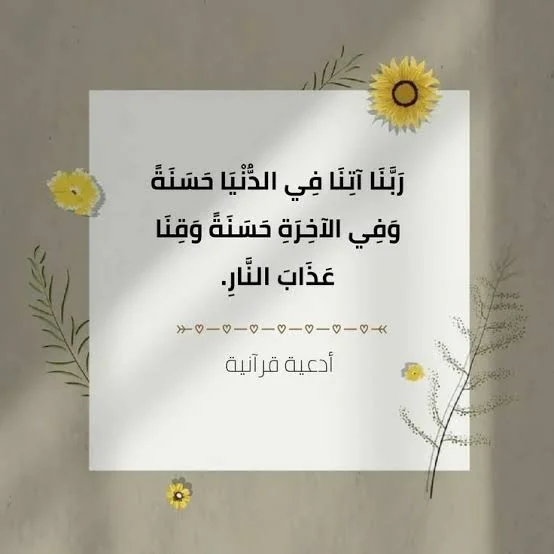 1768238801483.webp