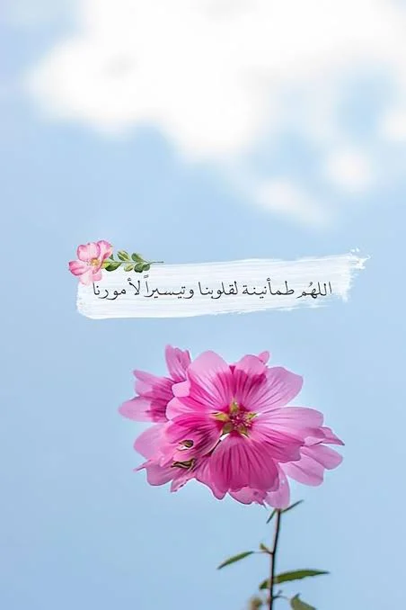 1768247898797.webp