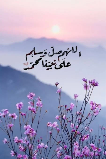 1768247937467.webp
