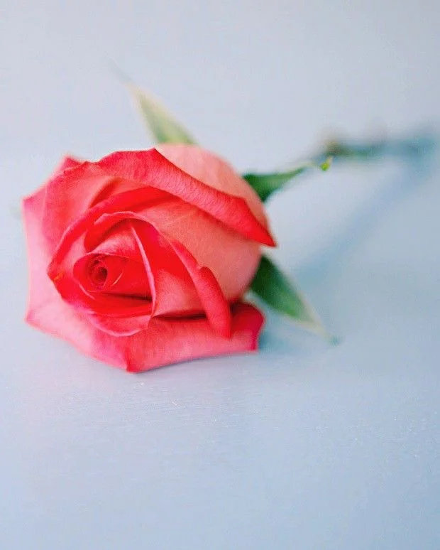 52a07fb3d0e12dff87712f0e20b0f5be.webp