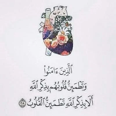 1769108224824.webp