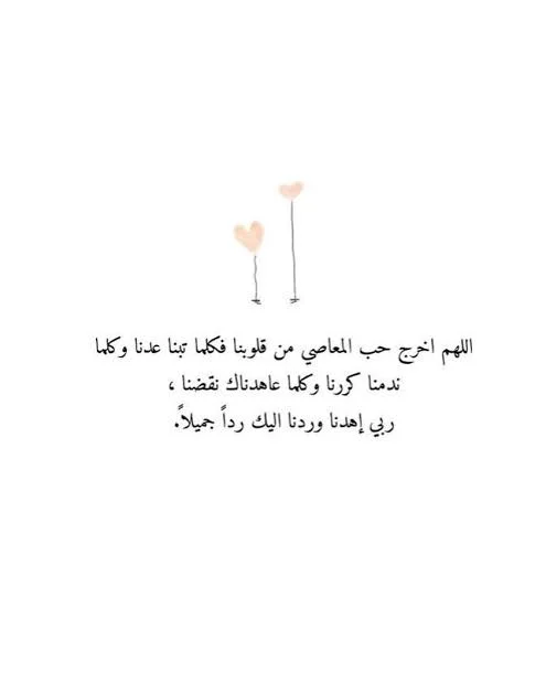 1769108266979.webp