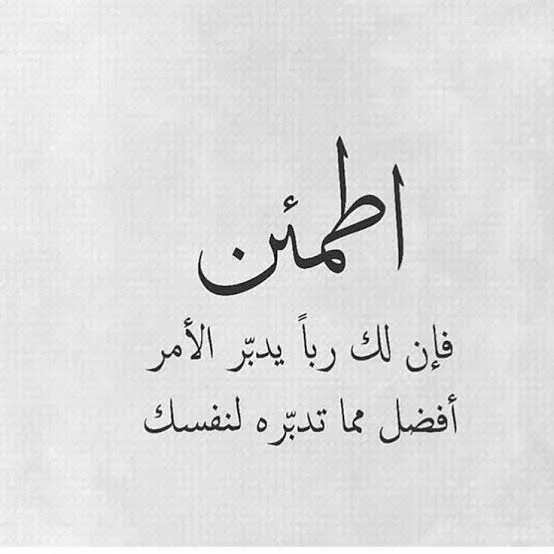1769108294505.webp
