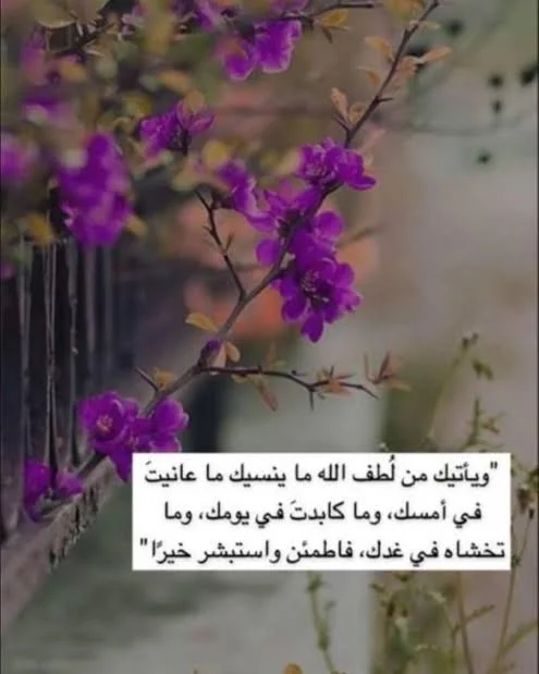 1769110732517.webp