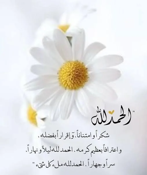 1769110797122.webp