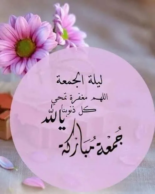 1769110880439.webp