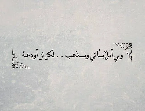 1769110984186.webp