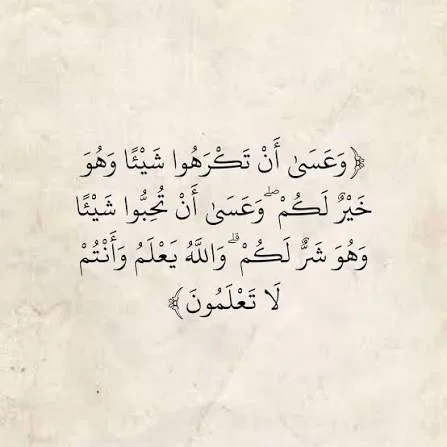1769519506026.webp