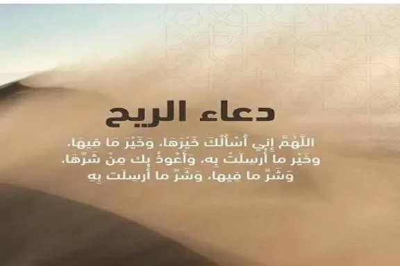 1769606778972.webp