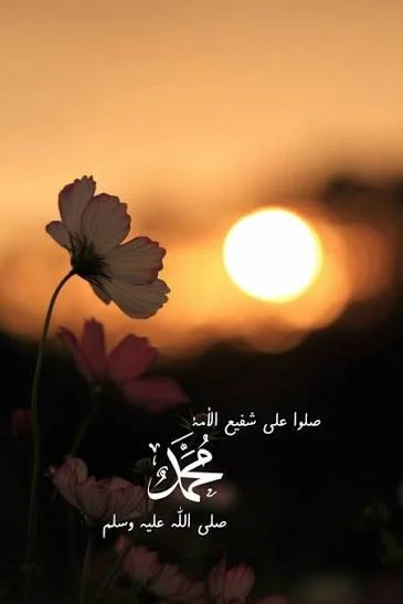 1769674574341.webp