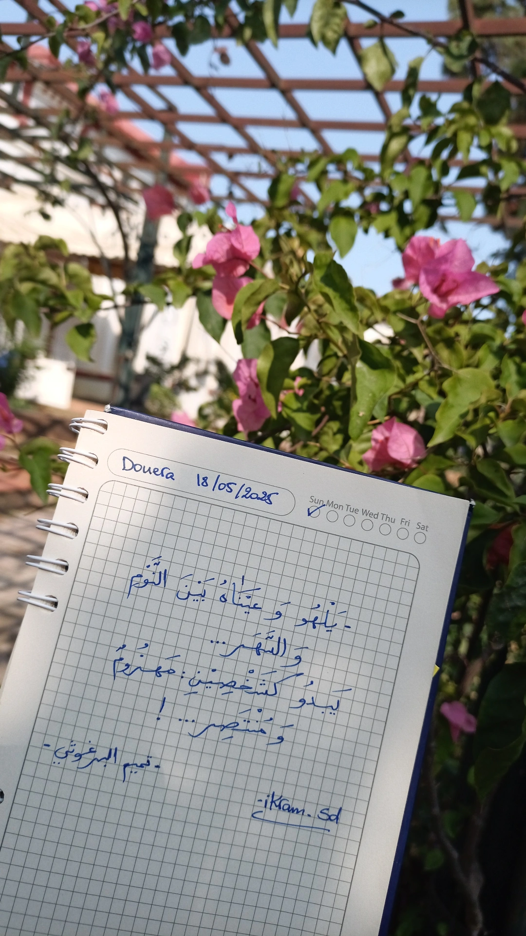 1769695601716.webp