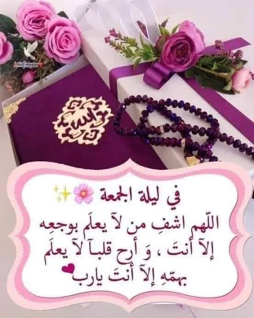 1769720261559.webp