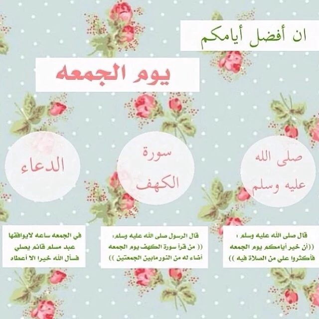 1769757798390.webp