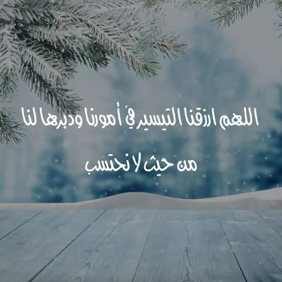 1769892060502.webp