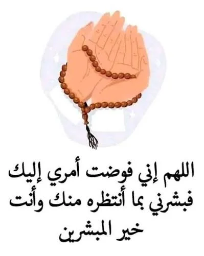 1769899906158.webp