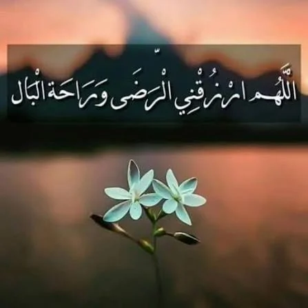 1769900089526.webp