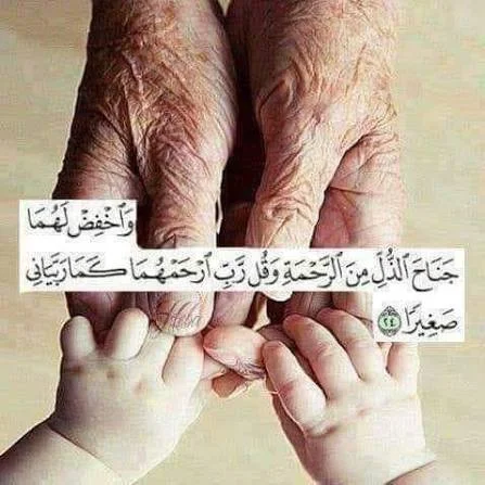 1770026108618.webp