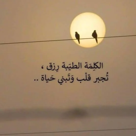 1770032732402.webp