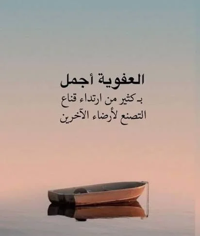 1770032834054.webp